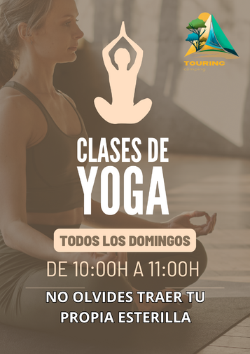 Activitats